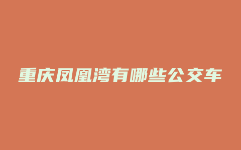 重庆凤凰湾有哪些公交车