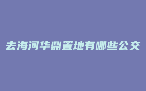 去海河华鼎置地有哪些公交