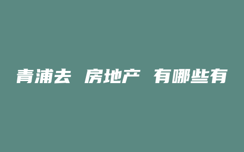 青浦去 房地产 有哪些有班车