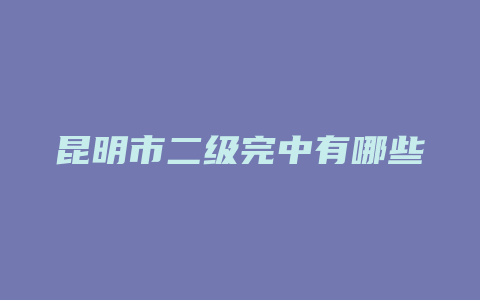 昆明市二级完中有哪些