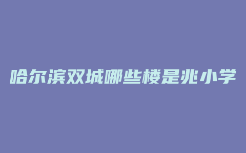 哈尔滨双城哪些楼是兆小学区