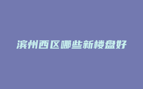 滨州西区哪些新楼盘好