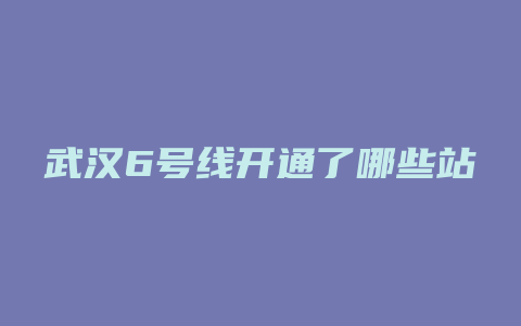 武汉6号线开通了哪些站