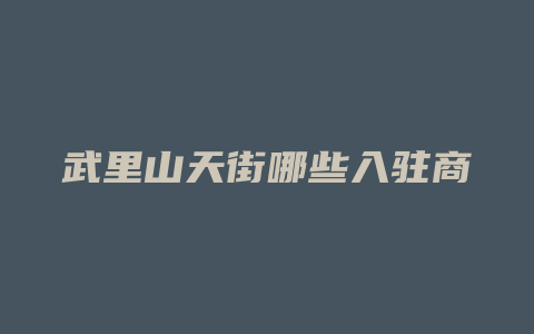 武里山天街哪些入驻商