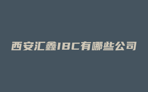 西安汇鑫IBC有哪些公司