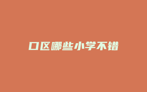 口区哪些小学不错