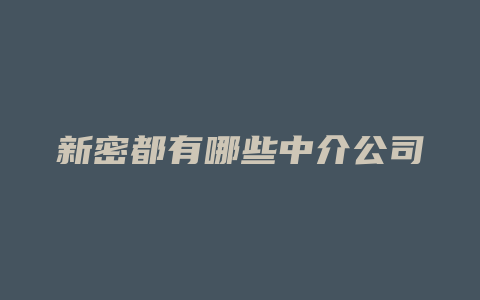 新密都有哪些中介公司