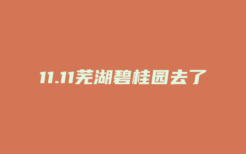 11.11芜湖碧桂园去了哪些名星