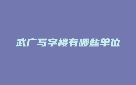 武广写字楼有哪些单位