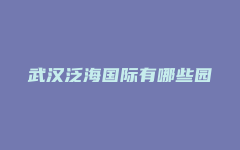 武汉泛海国际有哪些园