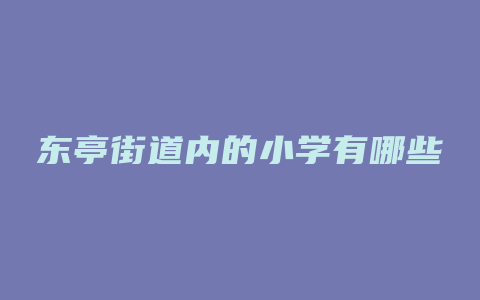 东亭街道内的小学有哪些