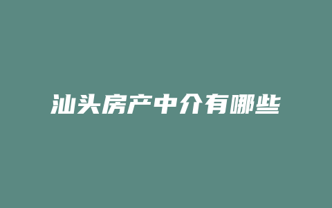 汕头房产中介有哪些