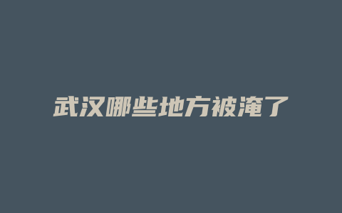 武汉哪些地方被淹了