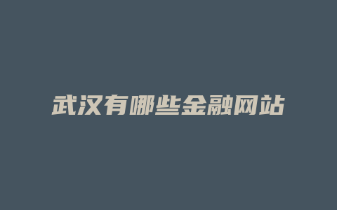 武汉有哪些金融网站