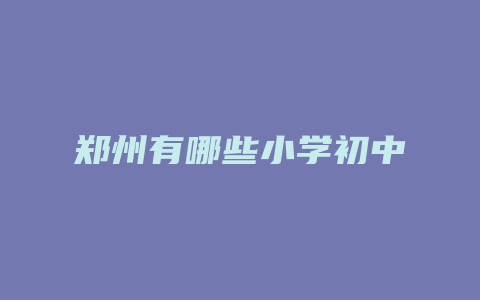 郑州有哪些小学初中