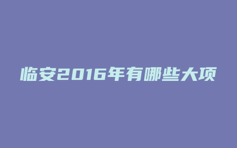 临安2016年有哪些大项目