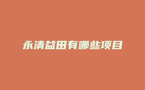 永清益田有哪些项目