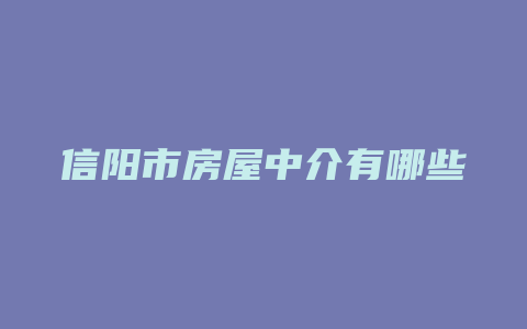 信阳市房屋中介有哪些